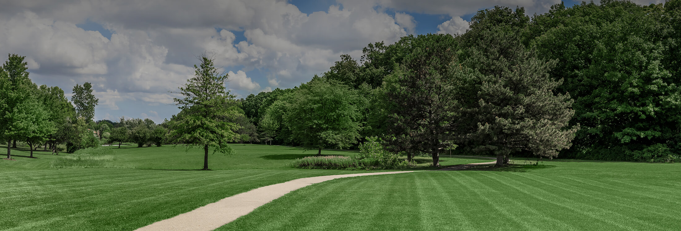 Neighborhood Page Image